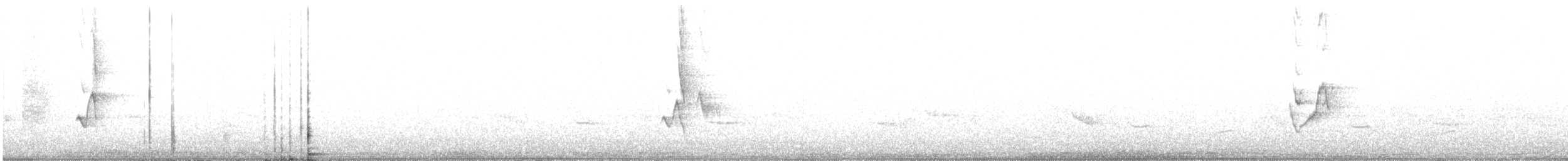 Микронезийская медовка - ML180408151