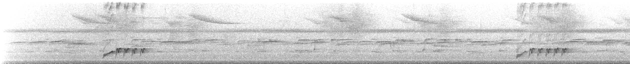 Braunzitterdrossel - ML180431151