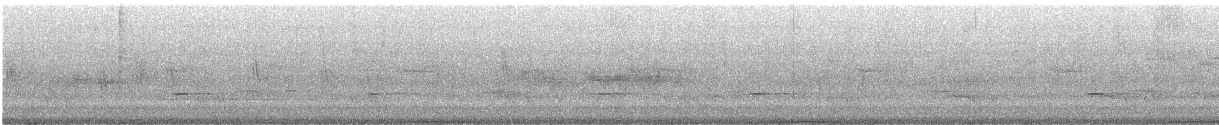 Brush Bronzewing - ML180435951