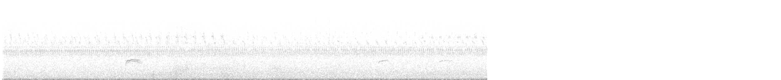 Gray-cheeked Thrush - ML180455711