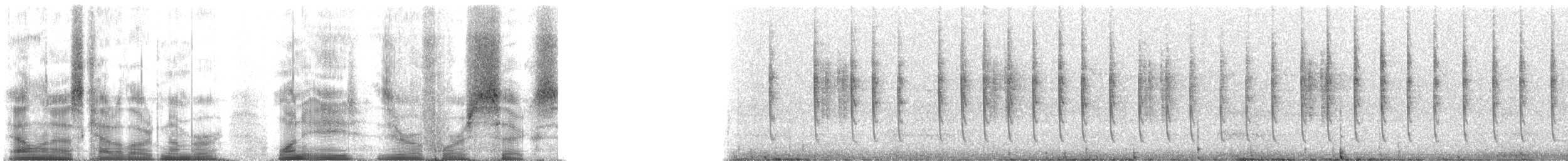 Blausonnennymphe - ML18046