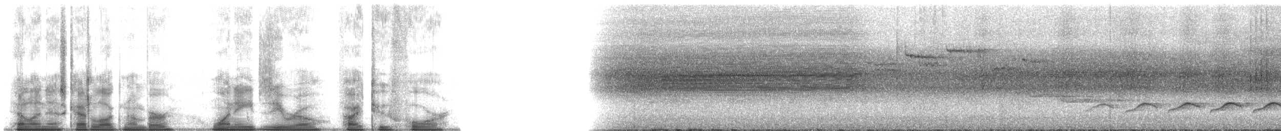Сероголовая кроция - ML180524