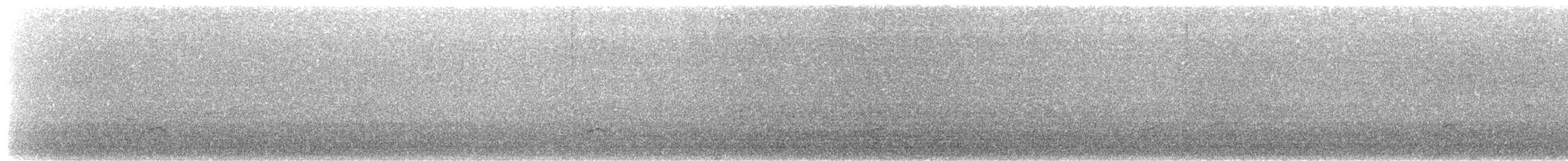 Kara Gagalı Sumru - ML180585861