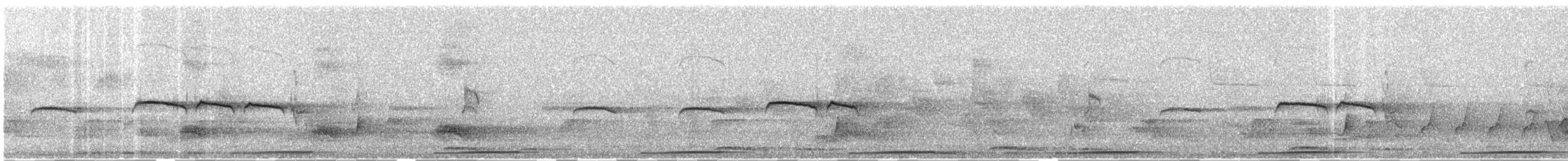 Тиранчик-тонкодзьоб північний - ML180637821