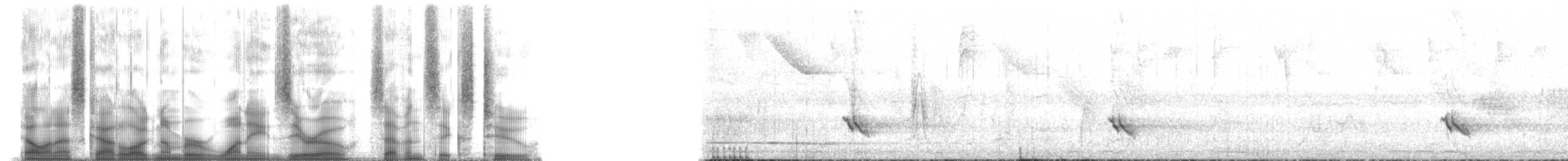 rødleggtrost (ardosiaceus/albiventris) - ML180762