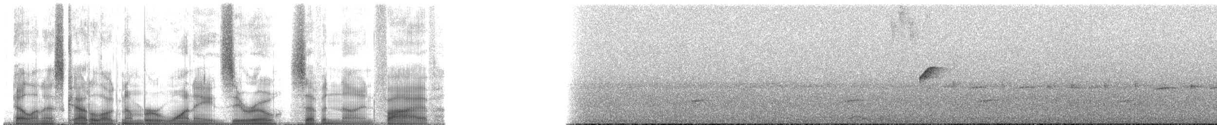 Белокрылая эспаньола - ML180795