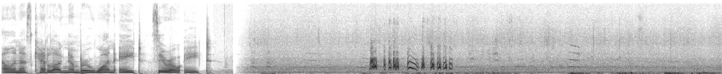 Çatal Kuyruklu Fırtınakırlangıcı (leucorhous) - ML1808