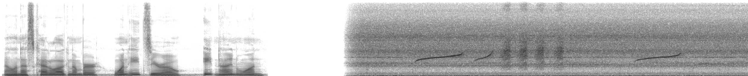 Maroon-breasted Philentoma - ML180891