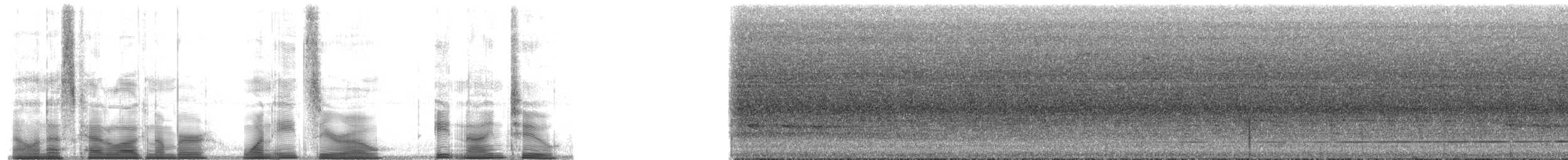 Black-crowned Pitta - ML180892