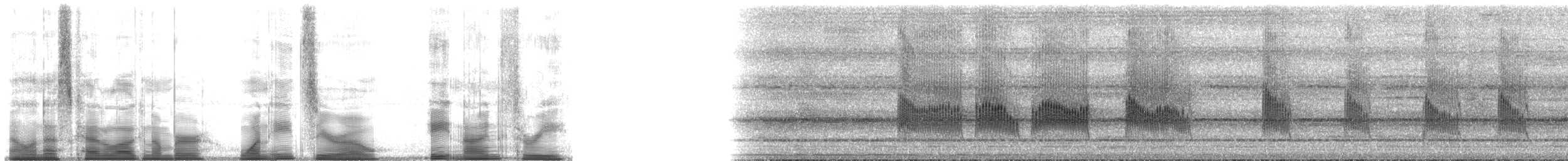 Short-tailed Babbler - ML180893