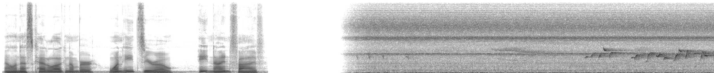 Rufous-crowned Babbler - ML180895