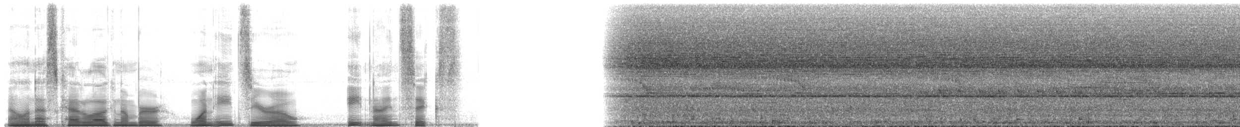 Black-crowned Pitta - ML180896