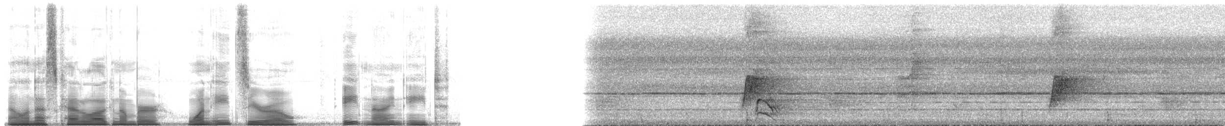 Greater Racket-tailed Drongo - ML180898