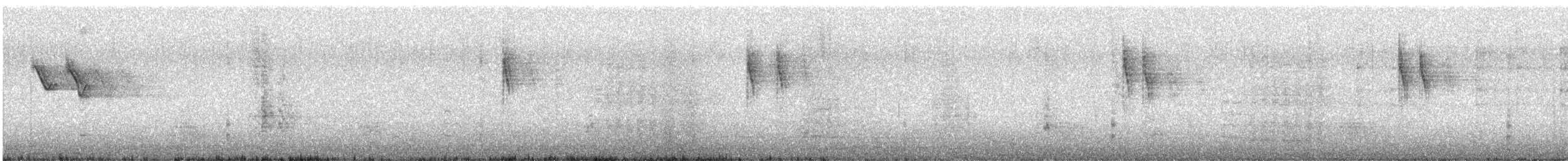 Bergeronnette des ruisseaux - ML180926411