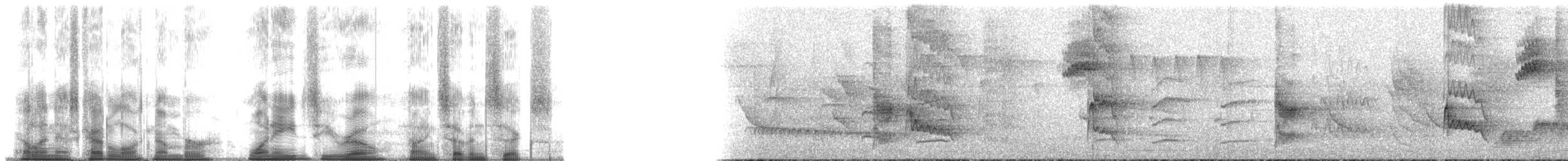 Spotted Woodcreeper (Berlepsch's) - ML180976