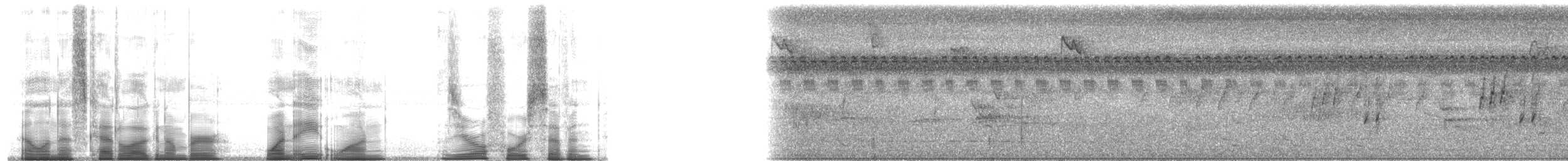 Borneobronzemännchen - ML181047