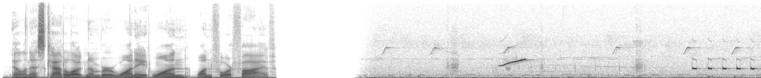 Narrow-tailed Starling - ML181145