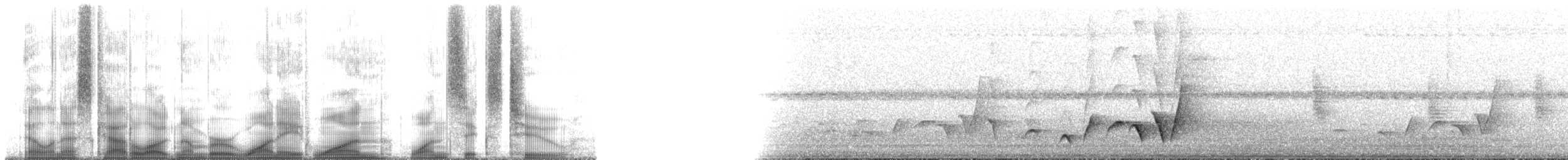 Silbador de Fiyi (grupo graeffii) - ML181162