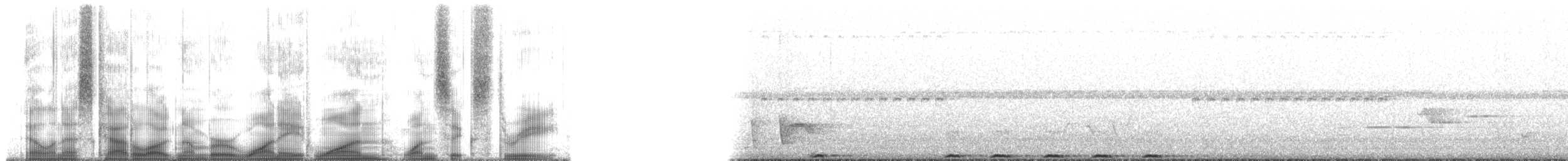 holub fidžijský - ML181163