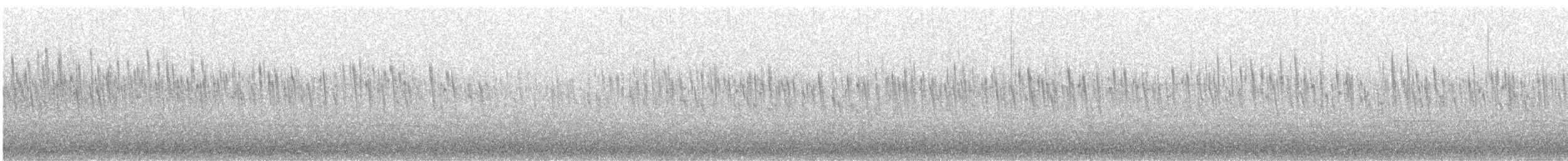 Schornsteinsegler - ML181189161