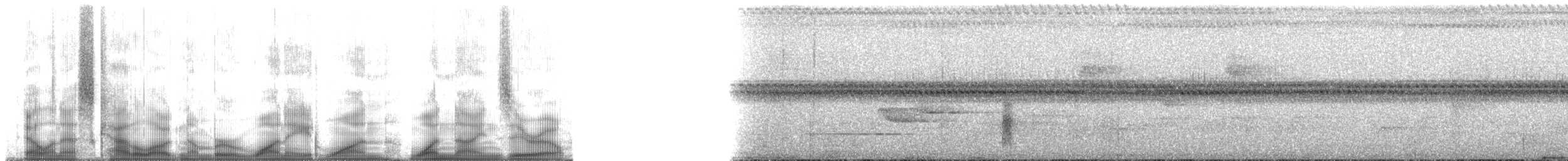 ナテワビロードムシクイ - ML181190