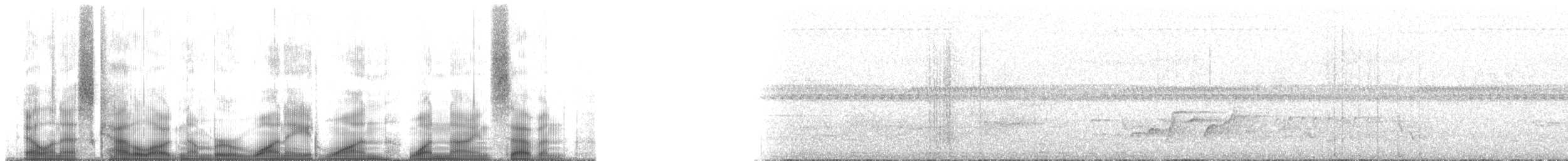 Northern Wattled-Honeyeater - ML181197