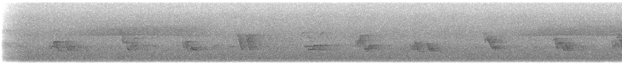 Paseriformea sp. - ML181199031