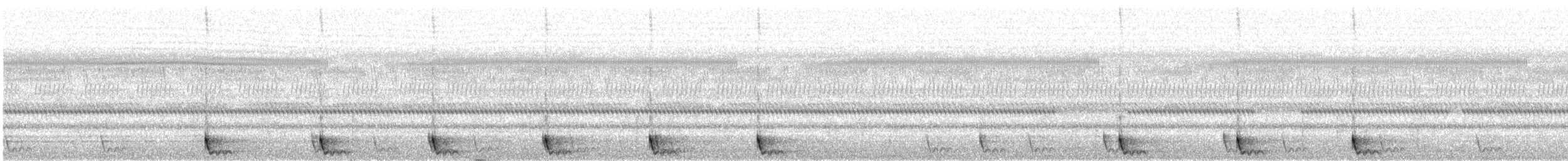 Large-tailed Nightjar - ML181200911