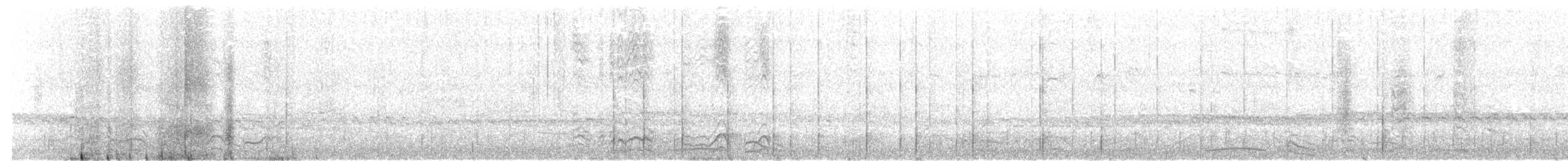 Tristramwellenläufer - ML181298211