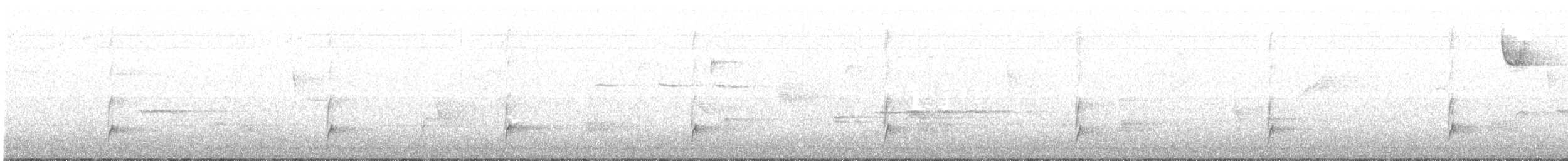 Дрізд-короткодзьоб Cвенсона - ML181321761