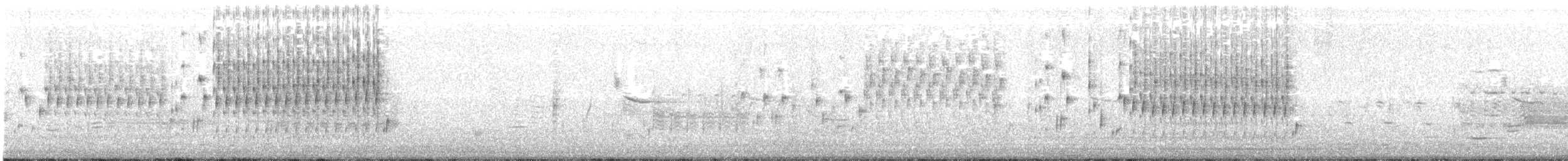 Troglodyte des marais - ML181322321