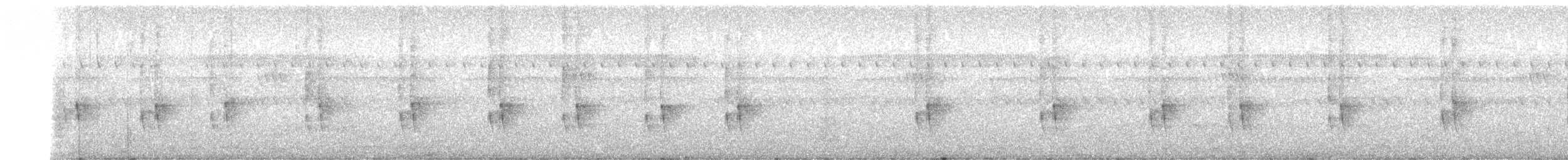Strichelspinnenjäger - ML181326241