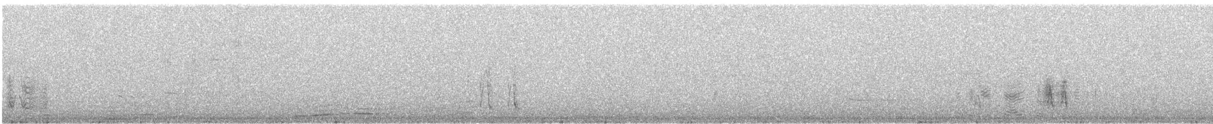 břehouš černoocasý - ML181339651
