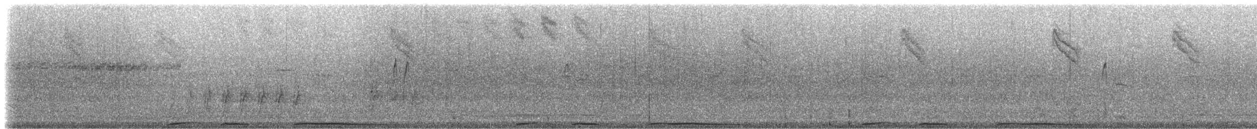 holub antilský - ML181340981