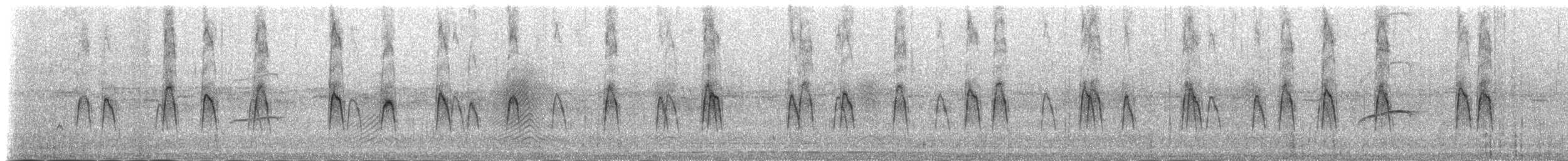 Marzaiola americana - ML181341081