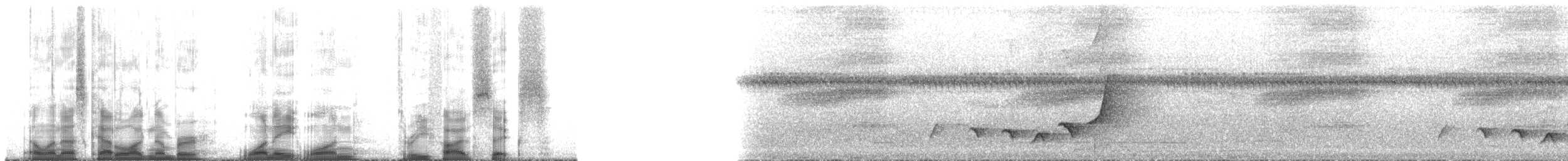 Свистун фіджійський [група graeffii] - ML181356