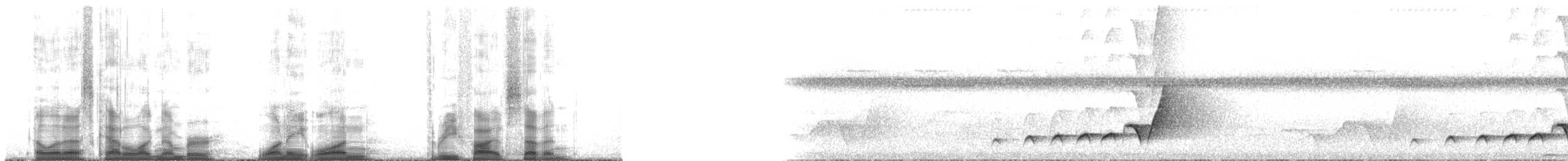 Свистун фіджійський [група graeffii] - ML181357