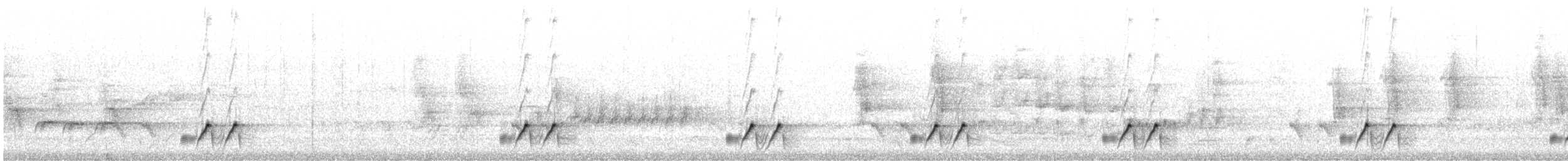 stripediamantfugl (substriatus) - ML181371771