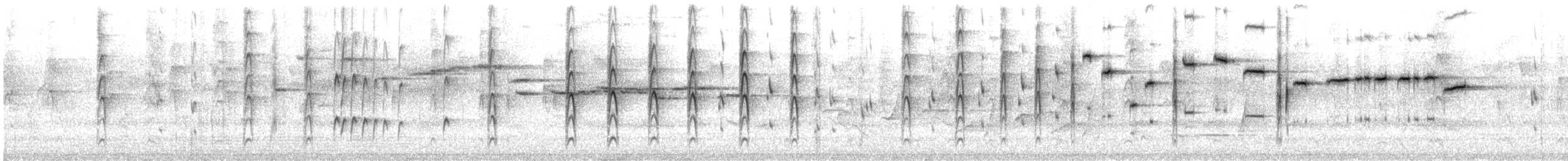 gråviftestjert - ML181376201