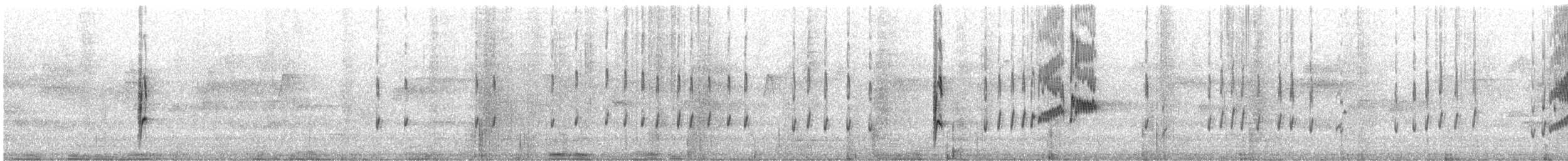 Weißbrustschnäpper - ML181376311