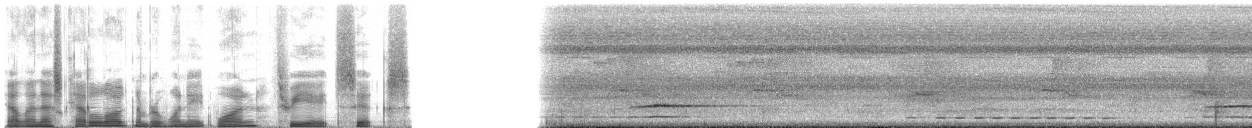 woodpecker sp. - ML181386