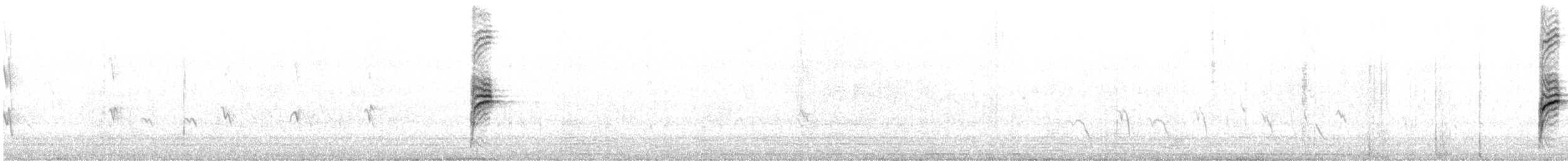 Tüpfelborstenvogel - ML181407311