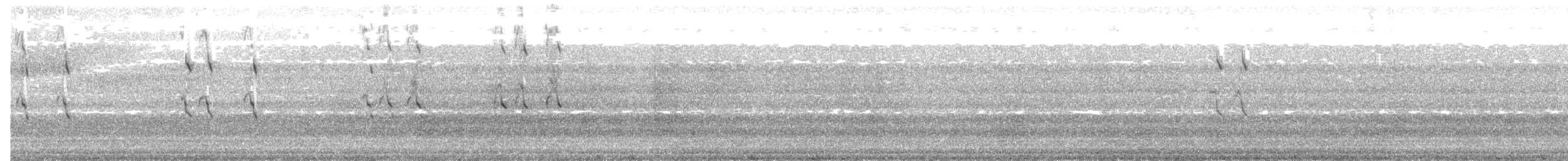 Royal Tern - ML181427751