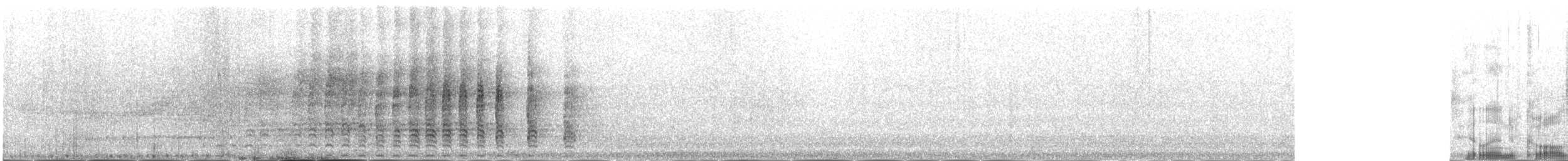 perlička kropenatá - ML181439731