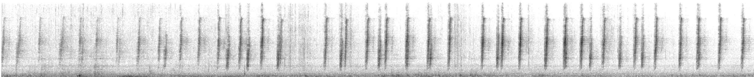 Cucarachero Colinegro (grupo spilurus) - ML181458941