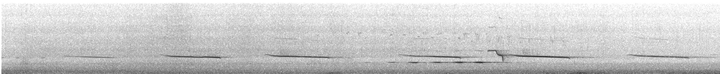 Black-eared Cuckoo - ML181459071