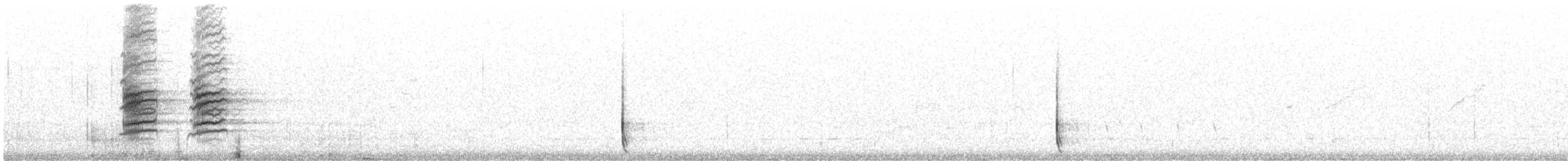 hvitpannehonningeter - ML181460351