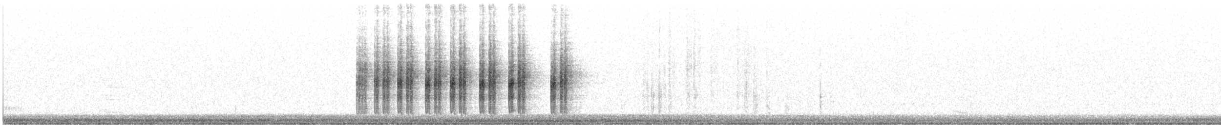 Rhipidure hochequeue - ML181461531