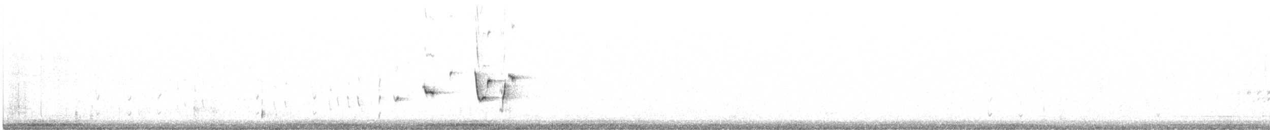 Чёрно-белая веерохвостка - ML181462211