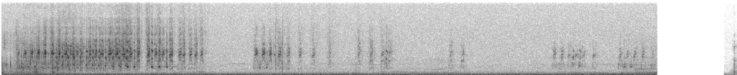 holub chocholatý - ML181462921